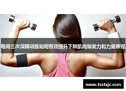 每周三次深蹲训练如何有效提升下肢肌肉爆发力和力量表现