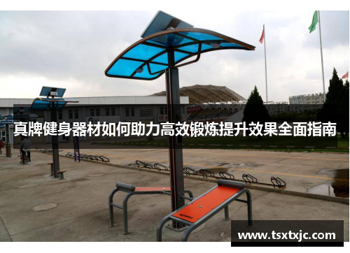 真牌健身器材如何助力高效锻炼提升效果全面指南
